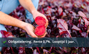 Stichting Grondbeheer Biologisch Dynamische Landbouw - Obligatielening 5 jaar