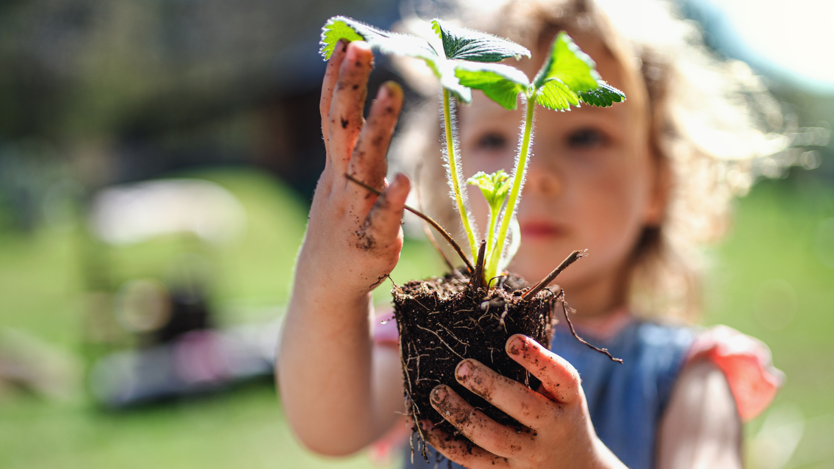 plantaardige voeding vegan vegetarisch