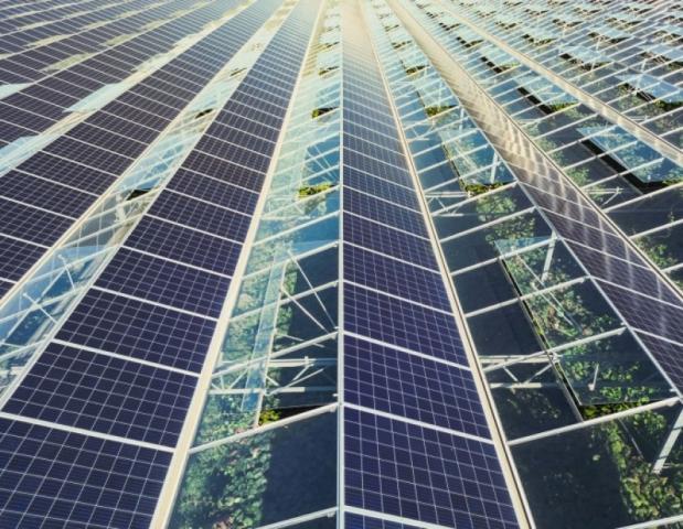 Trio Solar 11 B.V.