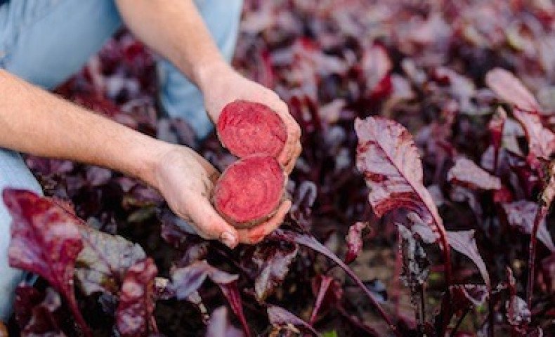 Stichting Grondbeheer Biologisch Dynamische Landbouw - Obligatielening 5 jaar