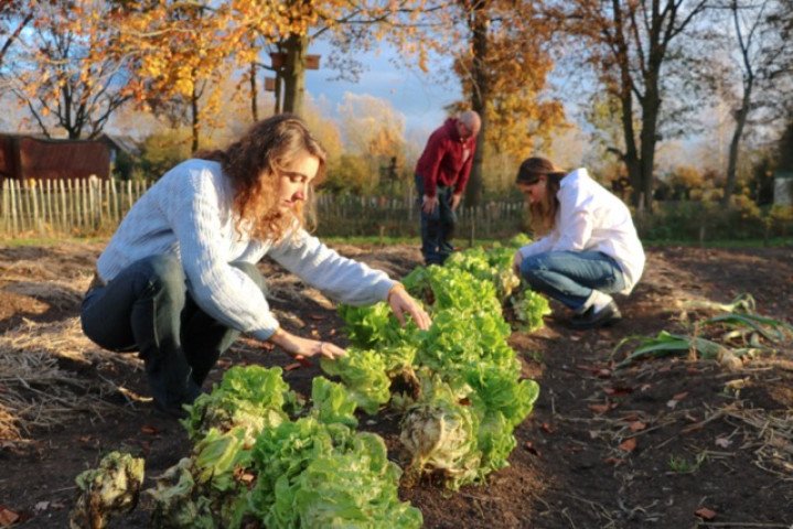 Stichting Grondbeheer Biologisch Dynamische Landbouw - Samen voor Grond II