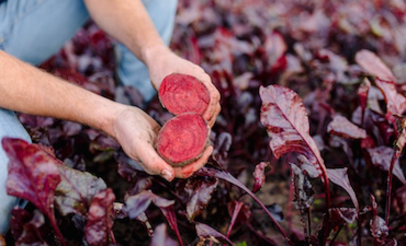 Stichting Grondbeheer Biologisch Dynamische Landbouw