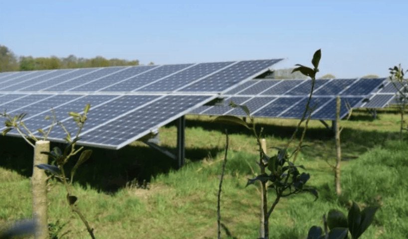 Zonneweide Schiebroek B.V.